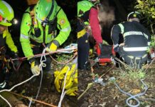 Trovato morto in fondo al crepaccio: tragedia nel bosco a Mazzano Romano Trovato morto in fondo al crepaccio: tragedia nel bosco a Mazzano Romano