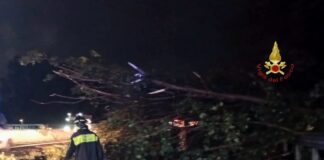 Vento e pioggia battente si abbattono sulla Capitale: alberi caduti, pali abbattuti, case allagate. Un'auto colpita, nessun ferito tra i cittadini coinvolti
