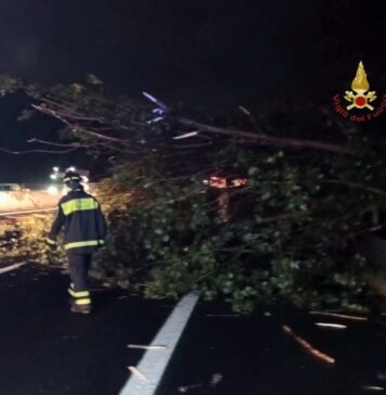 Vento e pioggia battente si abbattono sulla Capitale: alberi caduti, pali abbattuti, case allagate. Un'auto colpita, nessun ferito tra i cittadini coinvolti