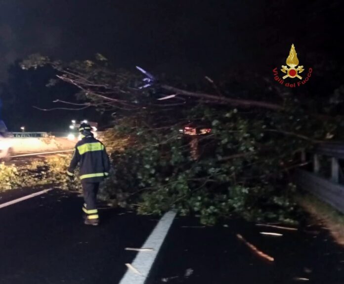 Vento e pioggia battente si abbattono sulla Capitale: alberi caduti, pali abbattuti, case allagate. Un'auto colpita, nessun ferito tra i cittadini coinvolti