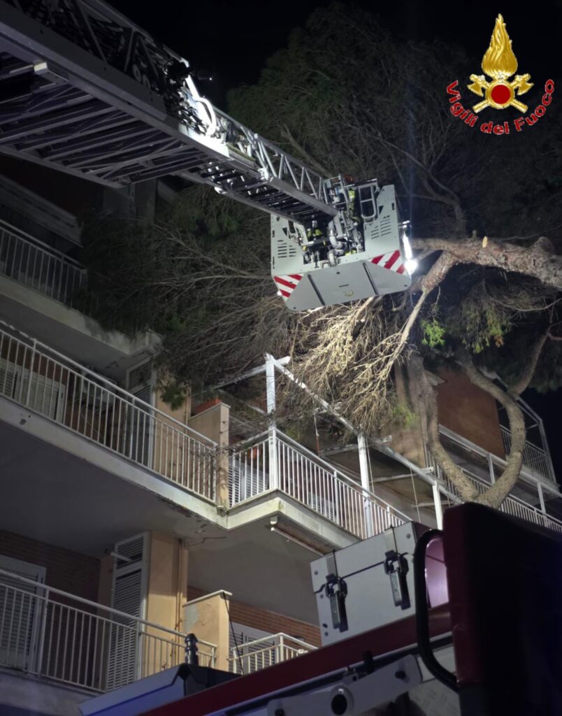 Maltempo a Santa Marinella, pino crolla contro una palazzina: vigili del fuoco in azione 2