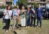 Portato via l'albero piantato in memoria di Giovanni Camilli: sparisce l'ulivo a Ostia