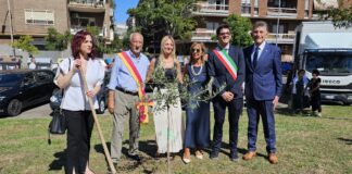 Portato via l'albero piantato in memoria di Giovanni Camilli: sparisce l'ulivo a Ostia