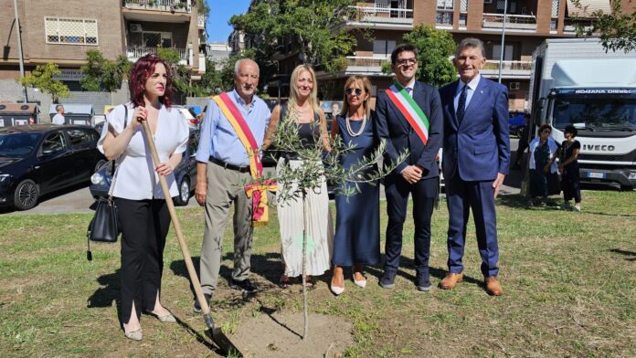 WhatsApp Image 2026-10-19 at 12.07.00 Portato via l'albero piantato in memoria di Giovanni Camilli: sparisce l'ulivo a Ostia