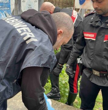 Droga tra i pini di Castel Fusano e Ostia Antica: maxi operazione dell’Arma. Ventisette panetti e cocaina interrata Home 1