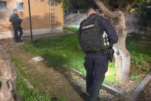 Maxi controlli dei carabinieri a Ostia, in campo i reparti specializzati: scattano 8 arresti e 9 denunce 1