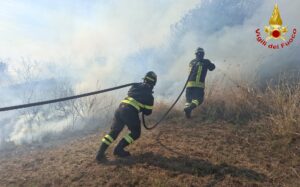 Grande incendio a Civitavecchia, fiamme minacciano le abitazioni 1