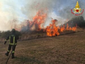 Grande incendio a Civitavecchia, fiamme minacciano le abitazioni 2