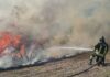 Grande incendio a Civitavecchia, fiamme minacciano le abitazioni