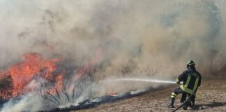 Grande incendio a Civitavecchia, fiamme minacciano le abitazioni