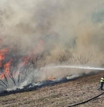 Grande incendio a Civitavecchia, fiamme minacciano le abitazioni
