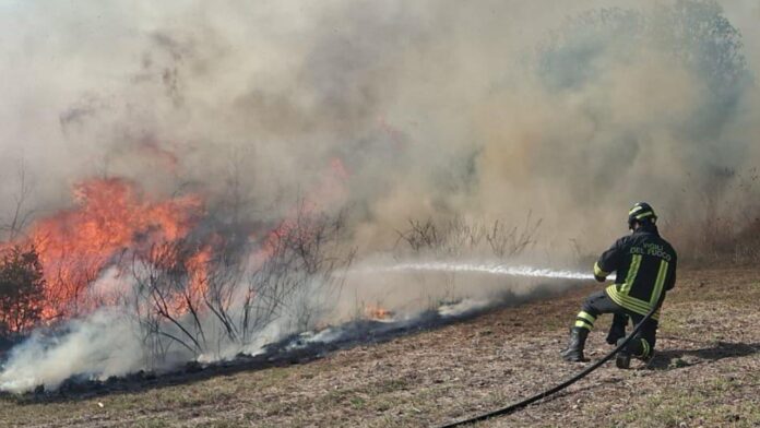 Grande incendio a Civitavecchia, fiamme minacciano le abitazioni