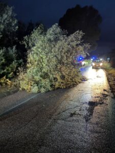 Alberi caduti, intervento in corso nella zona nord di Fiumicino