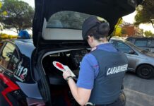 Oltre 180 identificati e 135 veicoli controllati: i controlli dei carabinieri nei quartieri periferici di Roma, tra spaccio, furti e Codice Rosso