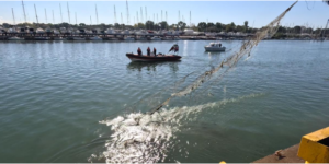 Maxi rete fantasma rimossa dalla Foce del Tevere: era una minaccia letale per l’ecosistema 1 Maxi rete fantasma rimossa dalla Foce del Tevere: era una minaccia letale per l’ecosistema 1