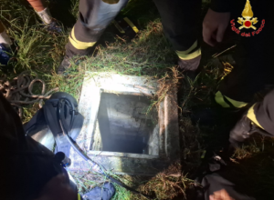Cane precipita in un pozzo a Civitavecchia: le difficili operazioni dei vigili del fuoco per salvarlo 1